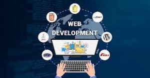 The Role of Web Development Services in UAE    